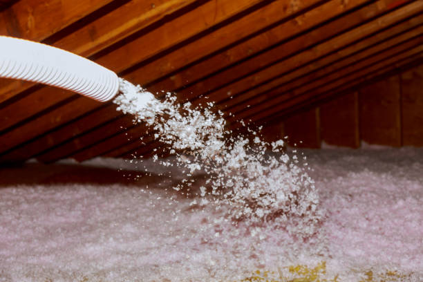 Best Insulation Contractors for Homes  in Ponca City, OK